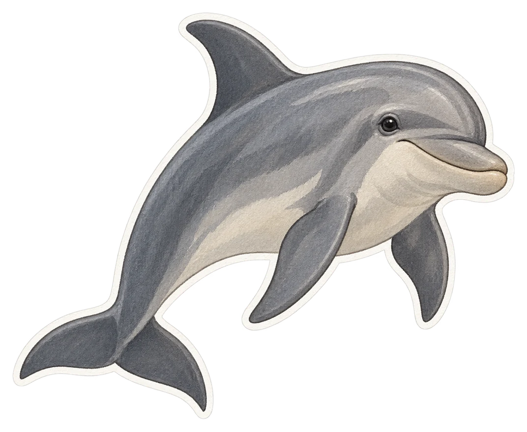 Le dauphin souffleur (Tursiops truncatus)