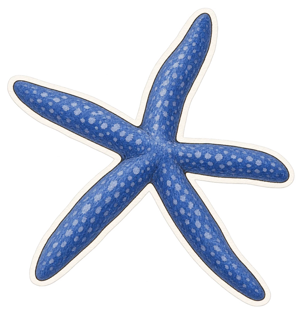 L'étoile de mer bleue (Linckia laevigata)
