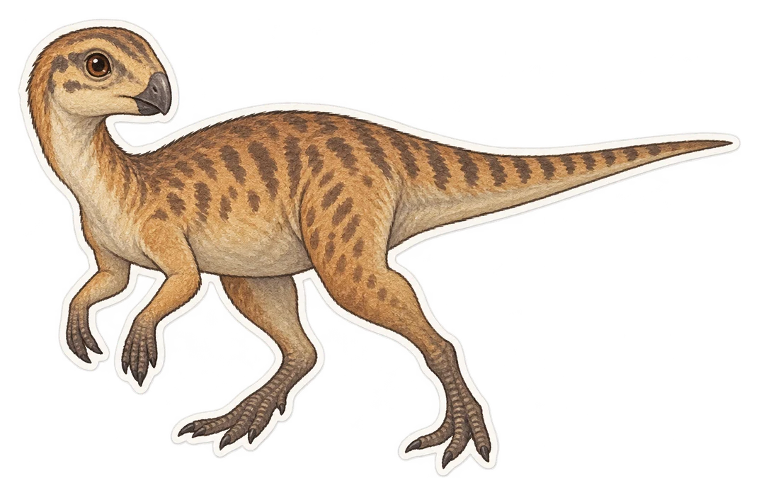 L'hypsilophodon (Hypsilophodon foxii)