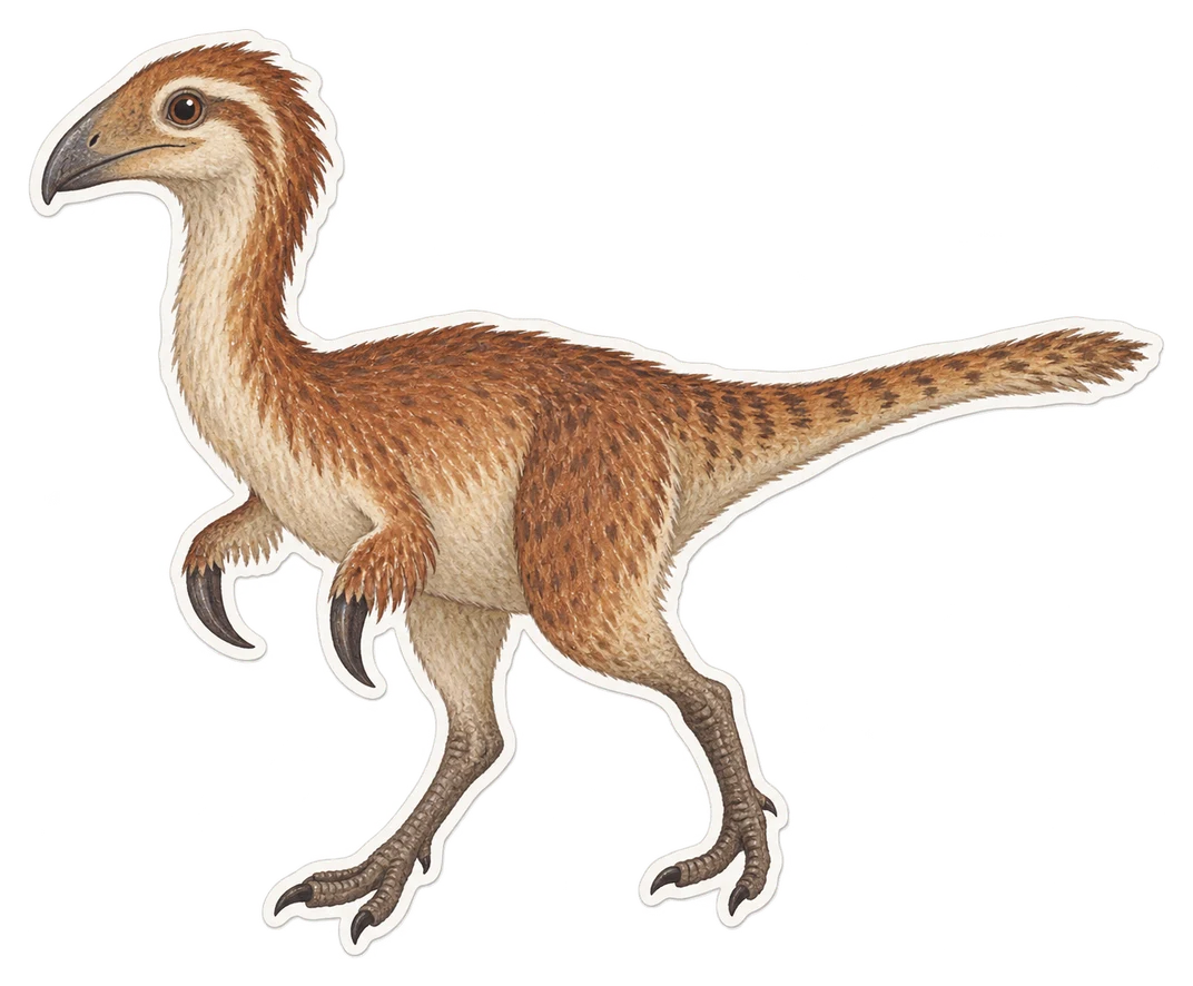 Le mononykus (Mononykus olecranus)