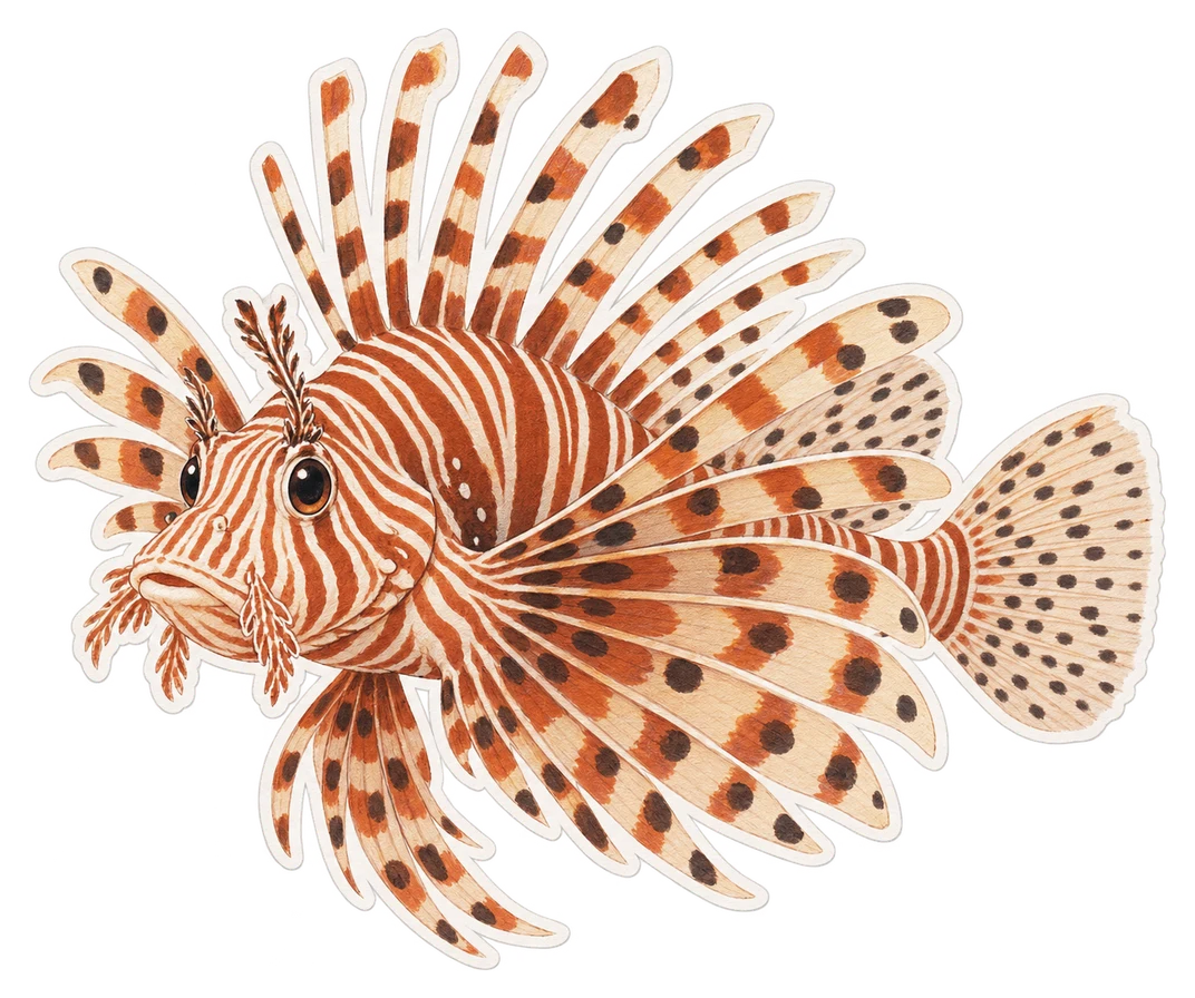 Le poisson-lion (Pterois volitans)
