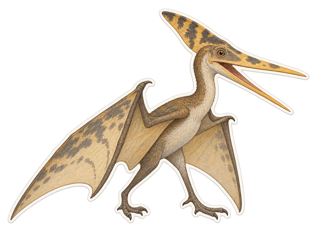 Ptérodactyle