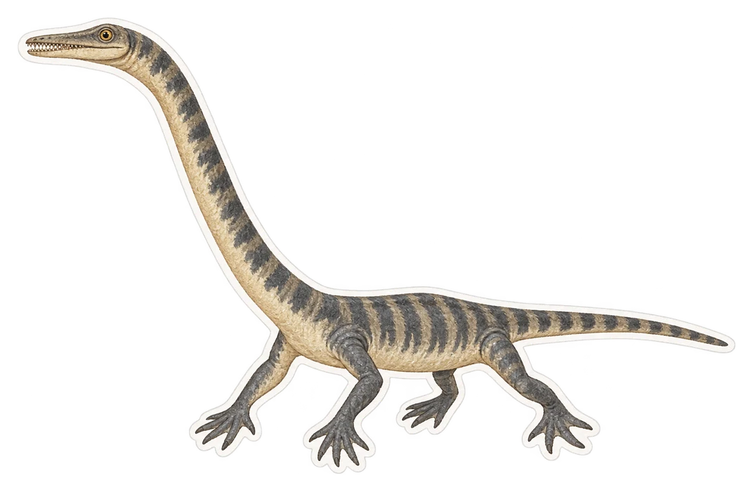 Le tanystropheus (Tanystropheus hydroides)