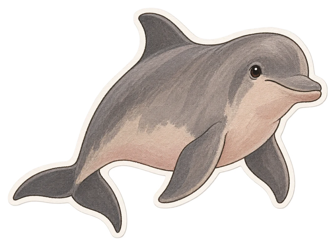 Le tucuxi (Sotalia fluviatilis)