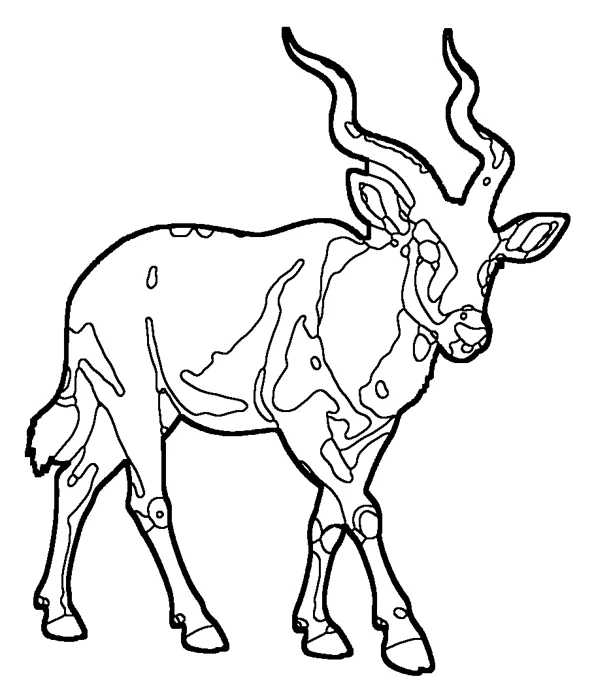 Coloriage : Addax