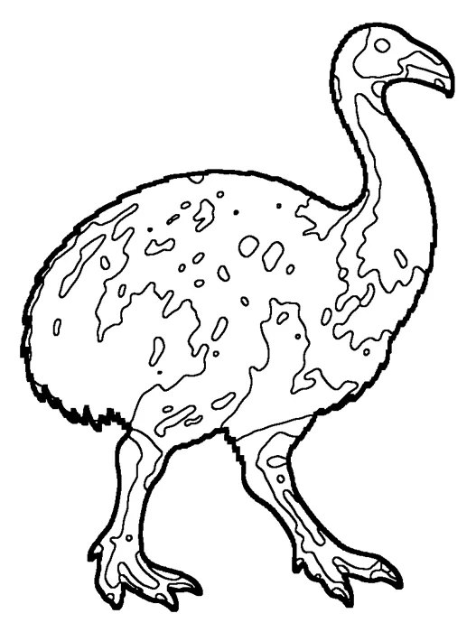 Coloriage : Aepyornis