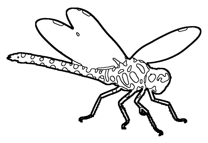 Coloriage : Aeschne bleue
