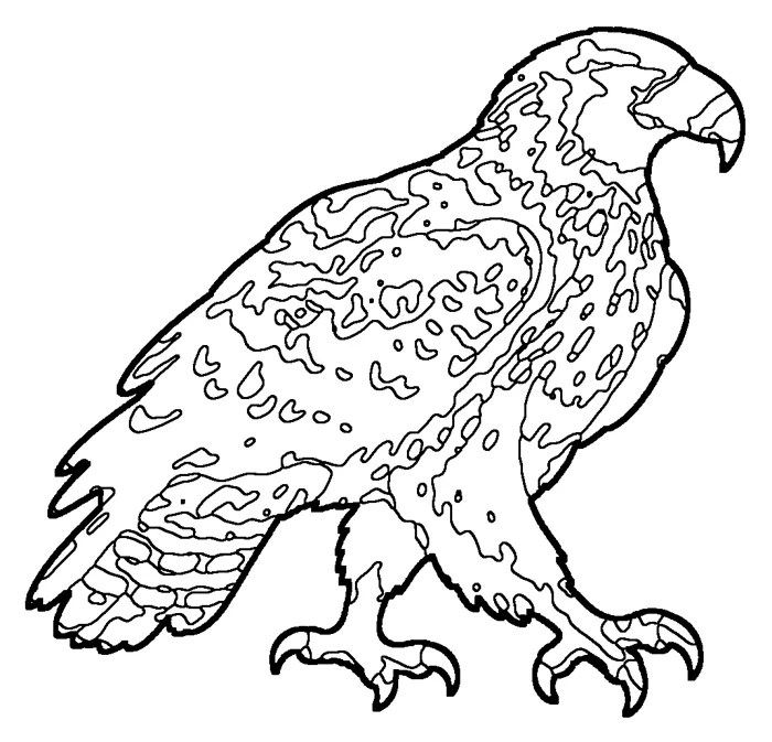 Coloriage : Aigle géant de Haast