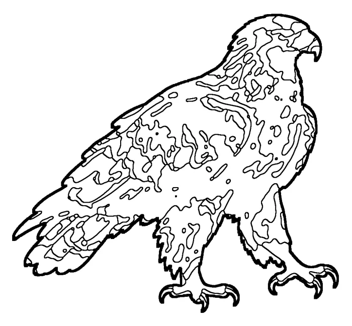 Coloriage : Aigle royal