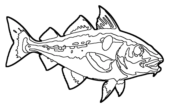 Coloriage : Aiglefin