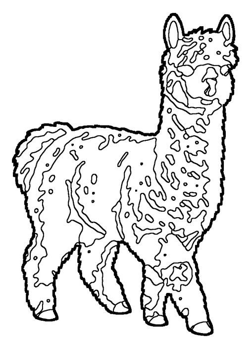 Coloriage : Alpaga