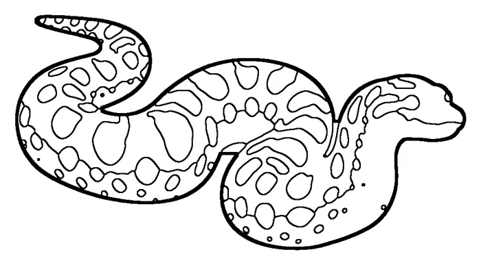 Coloriage : Anaconda vert