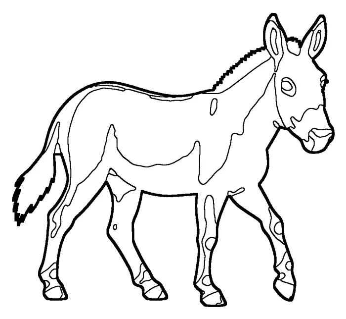 Coloriage : Âne sauvage d’Asie