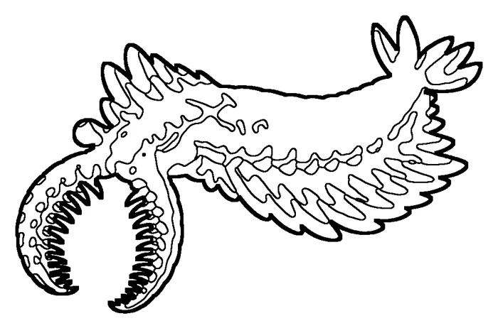 Coloriage : Anomalocaris