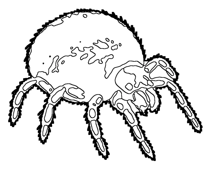 Coloriage : Aoûtat