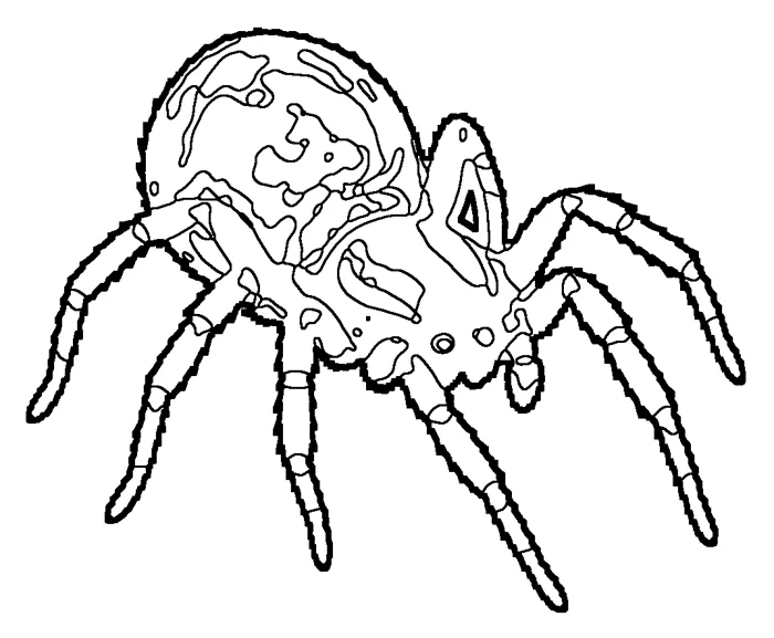 Coloriage : Argyronète