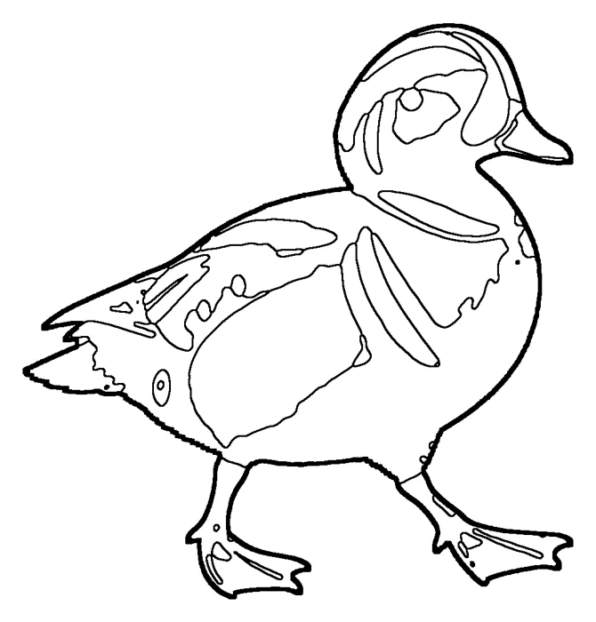 Coloriage : Arlequin plongeur
