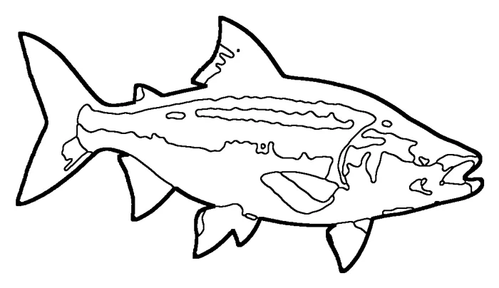 Coloriage : Aspe