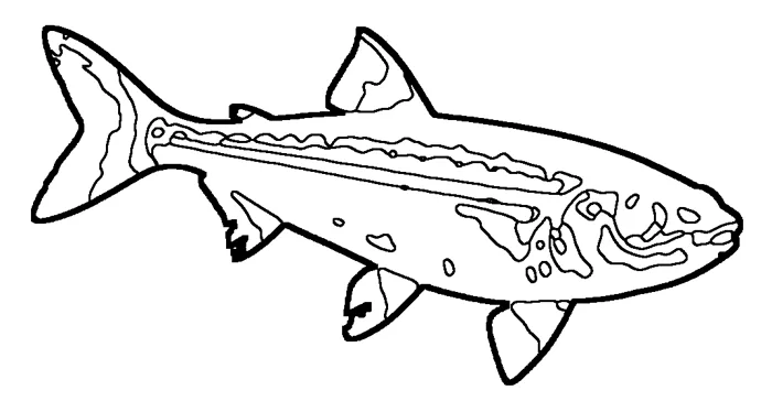 Coloriage : Athérine de Boyer