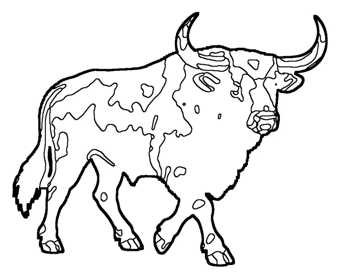 Coloriage : Aurochs