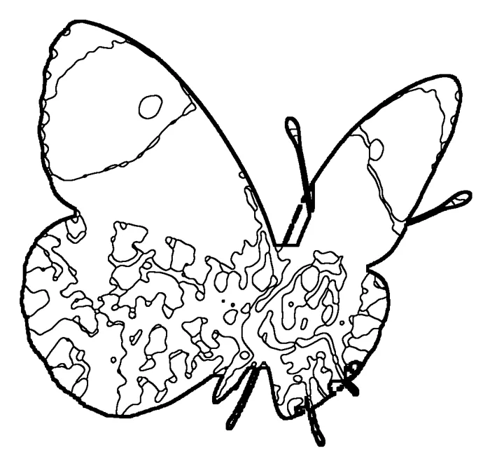 Coloriage : Aurore