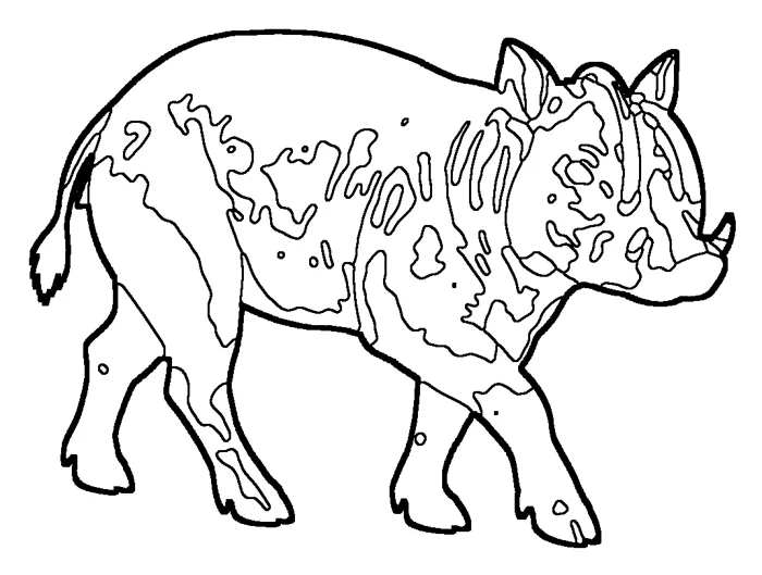 Coloriage : Babiroussa