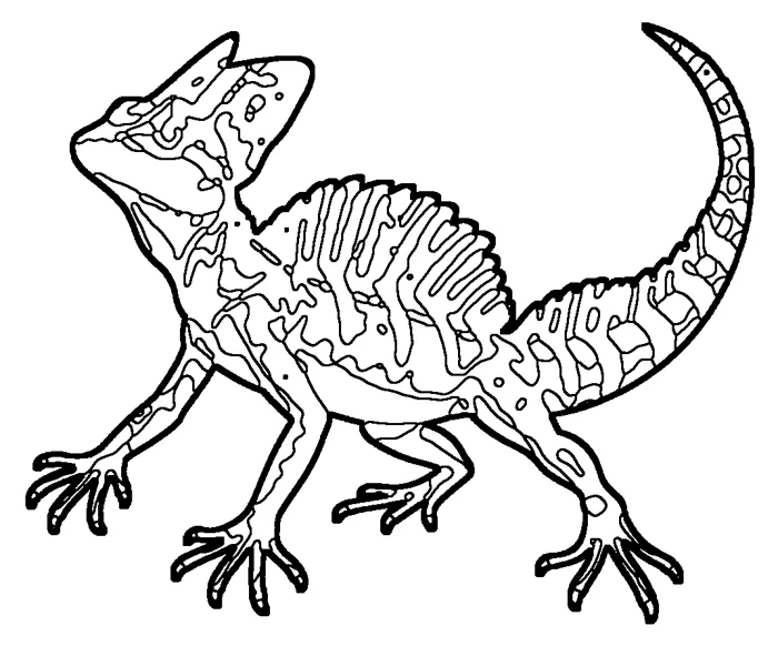 Coloriage : Basilic vert