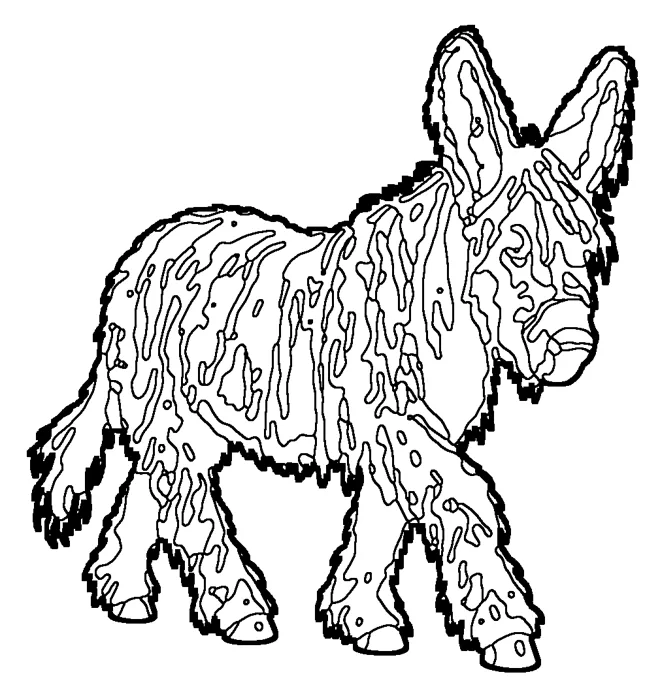 Coloriage : Baudet du Poitou