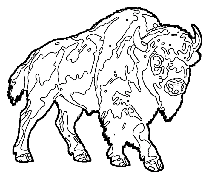 Coloriage de le bison des bois