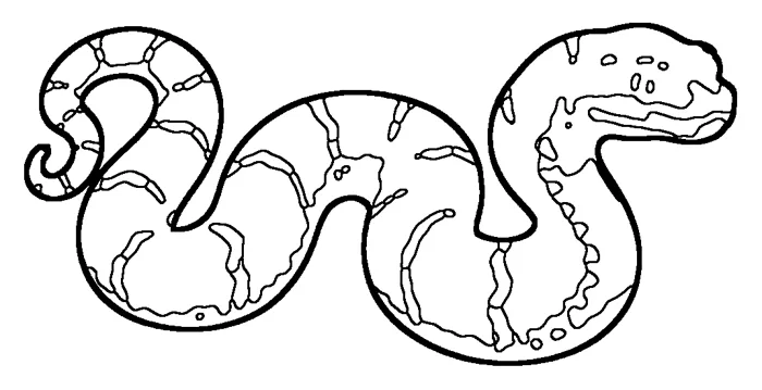 Coloriage : Boa émeraude