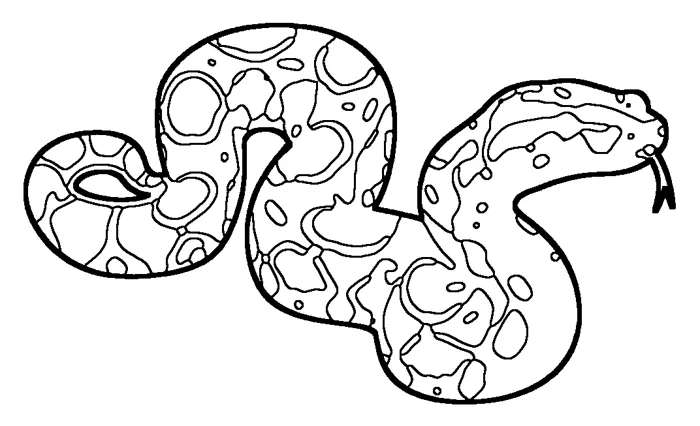 Coloriage : Boa constricteur