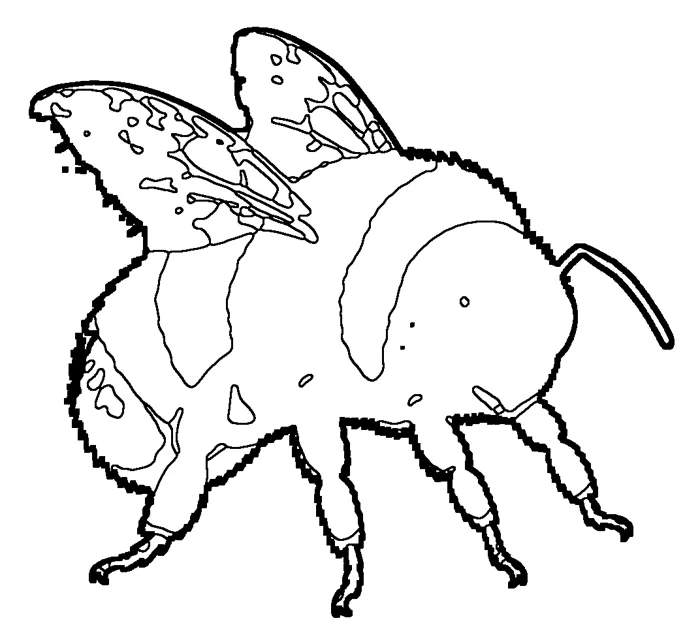Coloriage de le bourdon terrestre