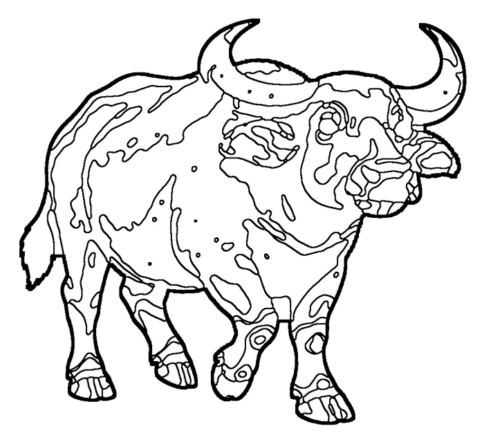 Coloriage : Buffle domestique