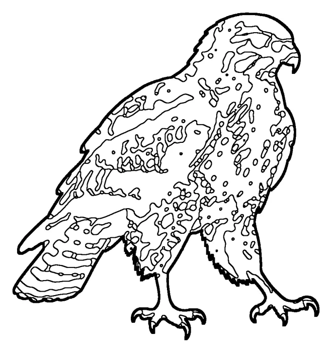 Coloriage de la buse variable