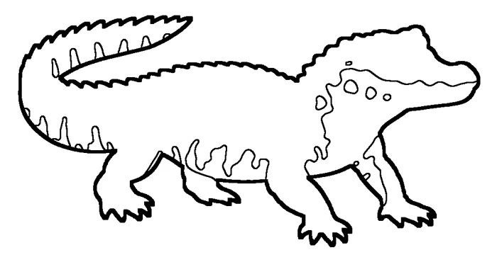 Coloriage de le caïman noir