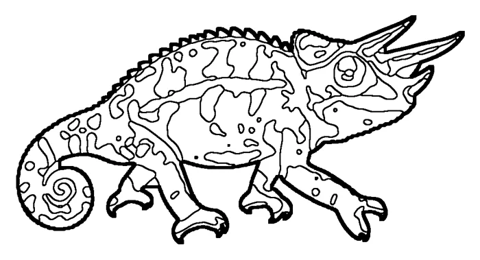 Coloriage : Caméléon de Jackson