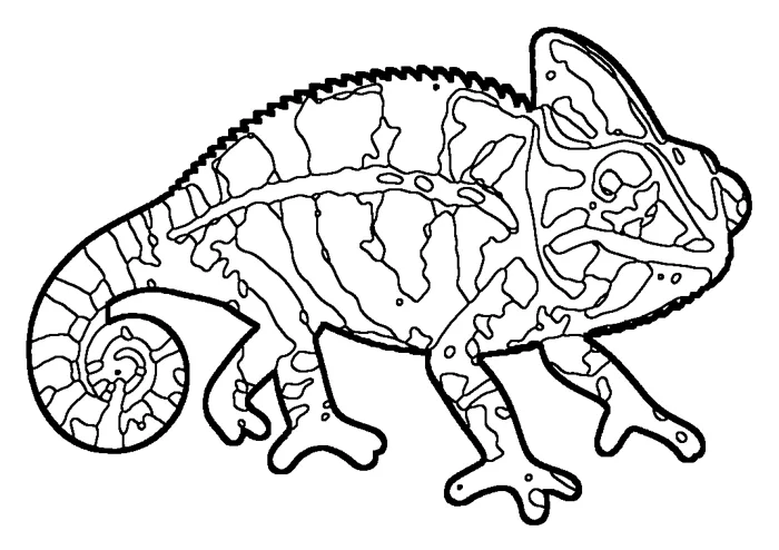 Coloriage : Caméléon