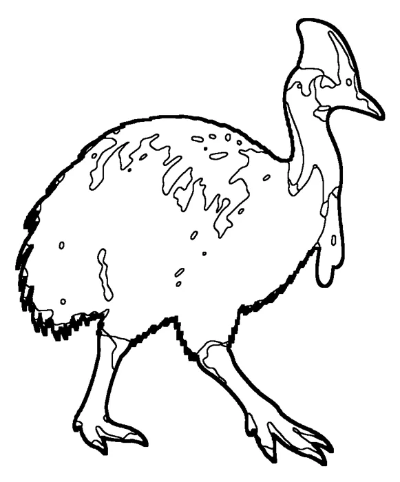 Coloriage de le casoar à casque