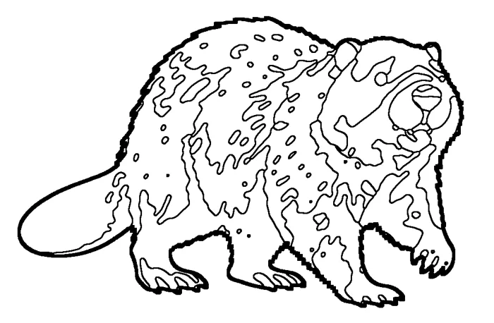 Coloriage de le castor du Canada