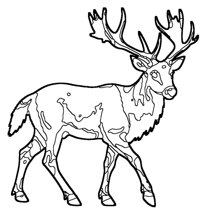Coloriage de le cerf du père David