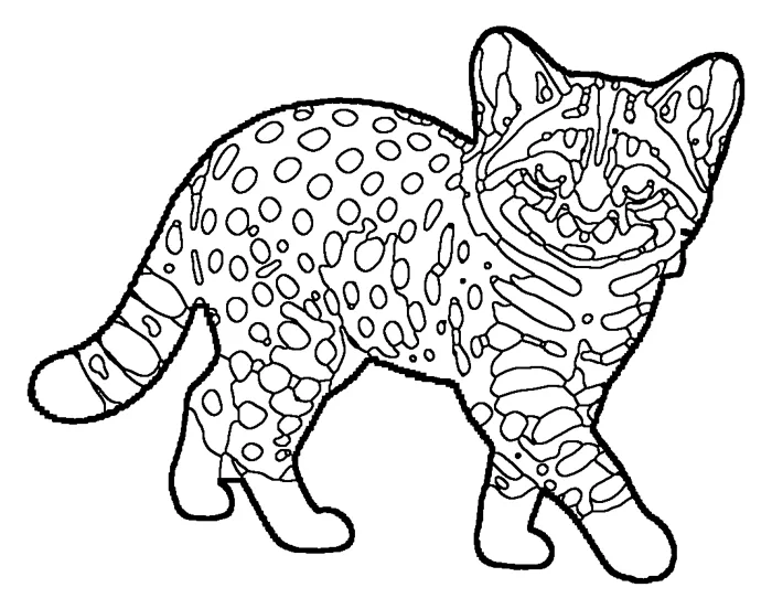 Coloriage : Chat à pieds noirs
