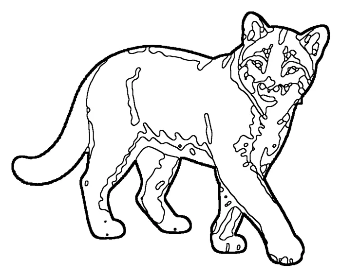 Coloriage : Chat bai