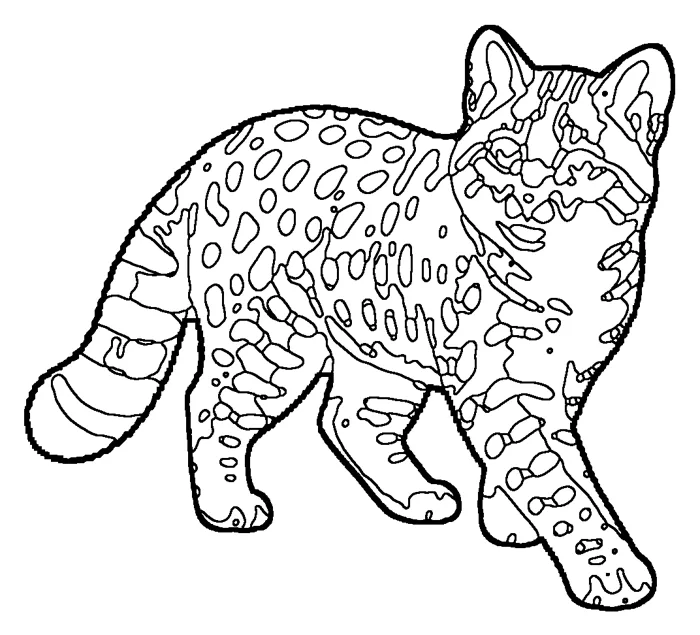 Coloriage de le chat de Biet