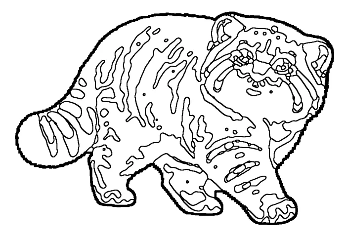 Coloriage : Chat de Pallas