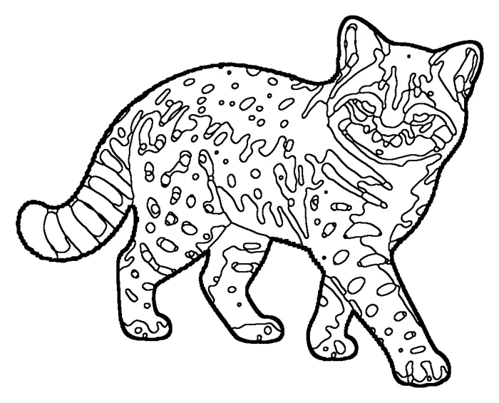 Coloriage de le chat des pampas