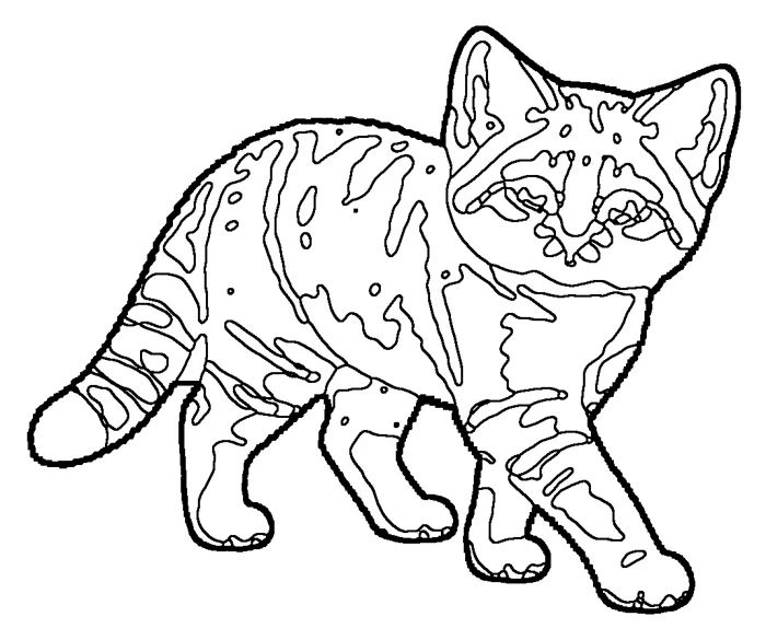 Coloriage : Chat des sables