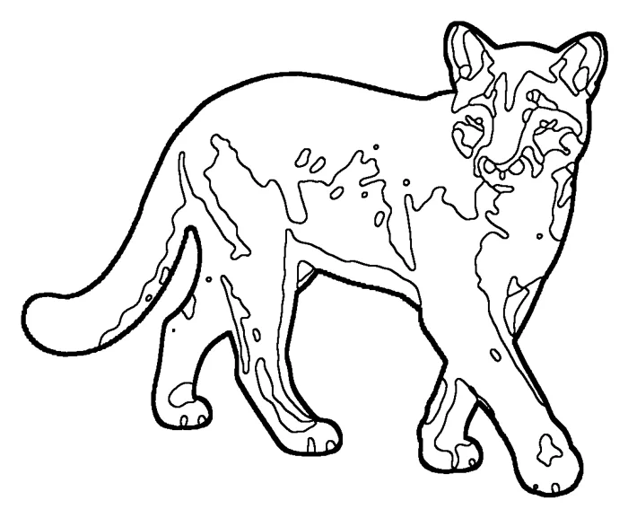 Coloriage de le chat doré d'Afrique