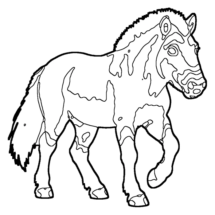 Coloriage : Cheval de Przewalski