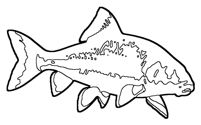 Coloriage : Chevalier cuivré