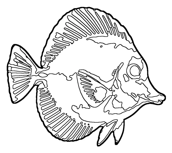 Coloriage : Chirurgien jaune